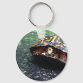 Box Turtle Sleutelhanger (Voorkant)
