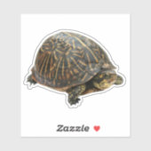 Box Turtle Sticker (Vel)