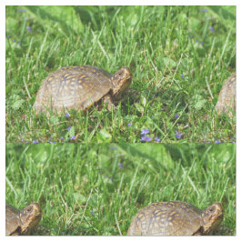 Box Turtle Stof