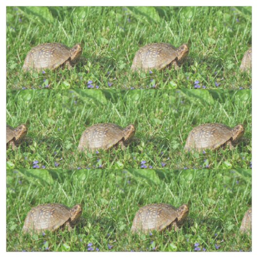 Box Turtle Stof (Swatch)