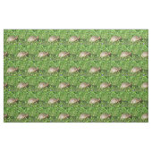 Box Turtle Stof (Fat Quarter)