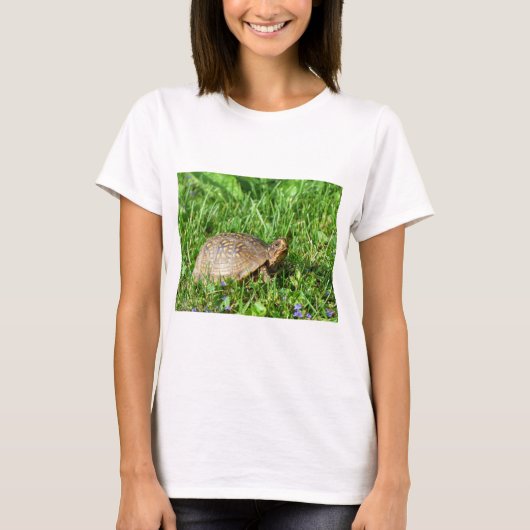 Box Turtle T-shirt (Voorkant)