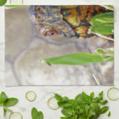 Box Turtle Theedoek (Gevouwen)