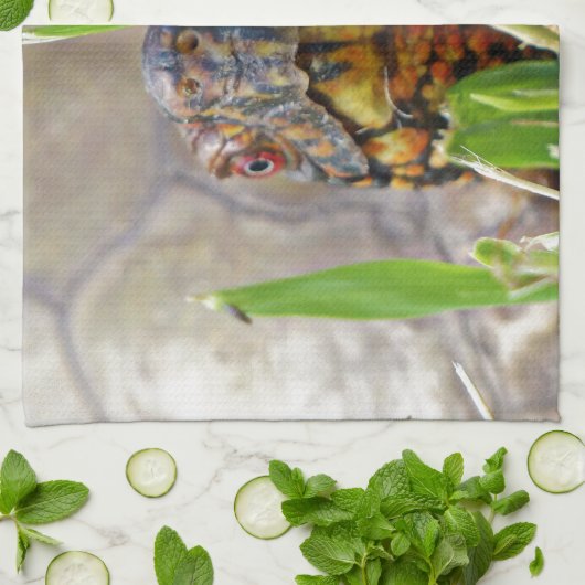 Box Turtle Theedoek (Gevouwen)