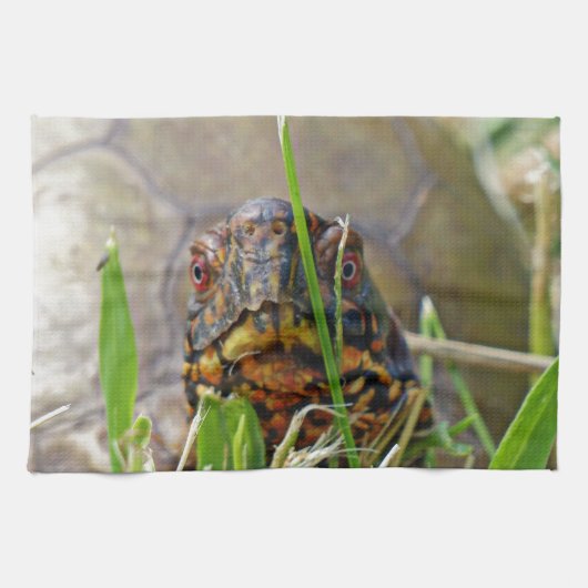 Box Turtle Theedoek (Horizontaal)