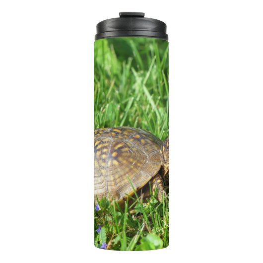 Box Turtle Thermosbeker (Voorkant)
