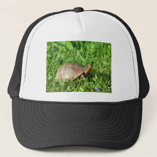 Box Turtle Trucker Pet (Voorkant)