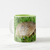 Box Turtle Tweekleurige Koffiemok (Voorkant links)