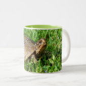 Box Turtle Tweekleurige Koffiemok (Voorkant rechts)