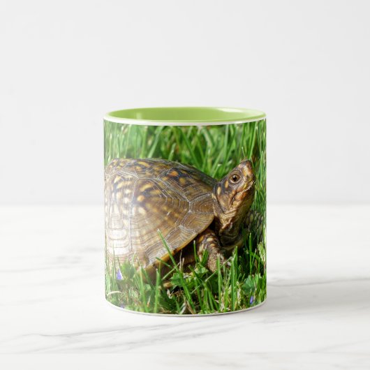 Box Turtle Tweekleurige Koffiemok (Center)