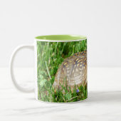 Box Turtle Tweekleurige Koffiemok (Links)