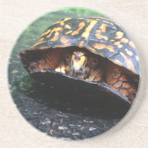 Box Turtle Zandsteen Onderzetter