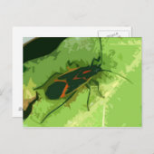 Boxelder Bug Briefkaart (Voorkant / Achterkant)