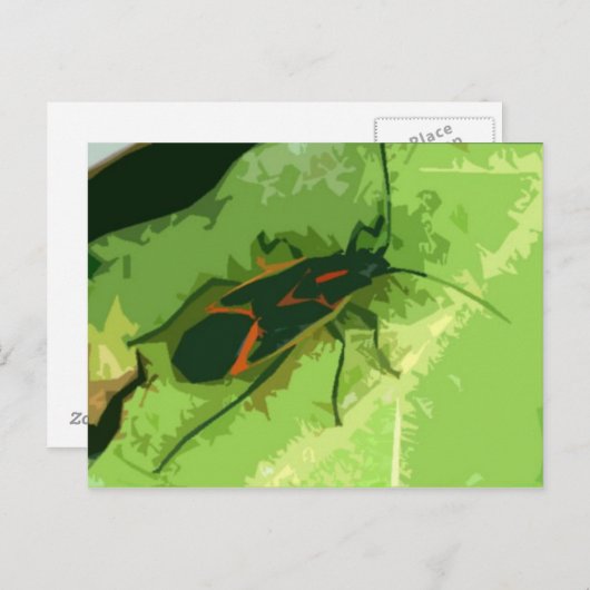 Boxelder Bug Briefkaart (Voorkant / Achterkant)