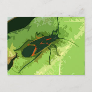 Boxelder Bug Briefkaart