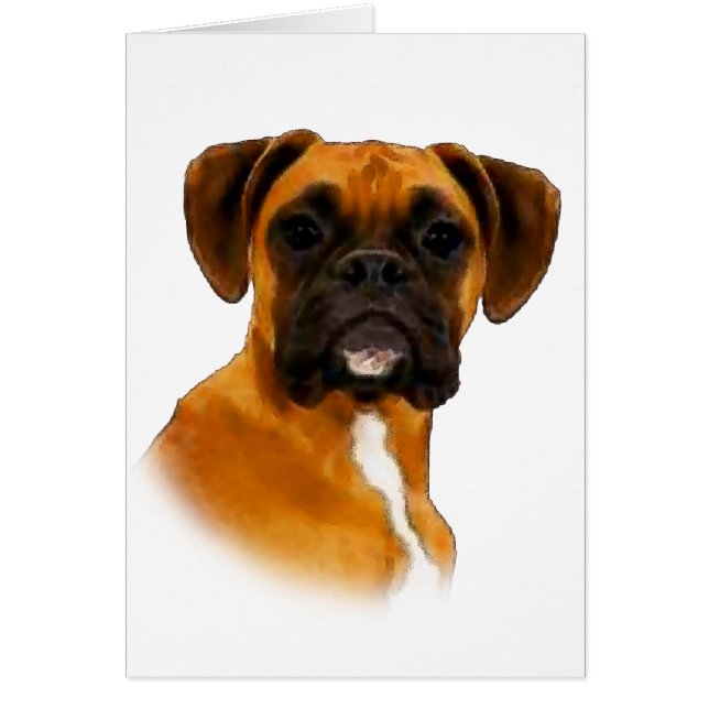 Boxer (Voorkant)