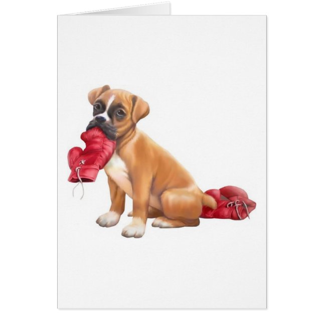 Boxer (Voorkant)