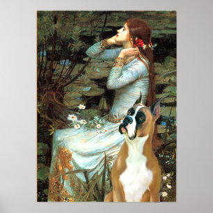 Boxer 1 (gehaakte oren) - Ophelia Poster