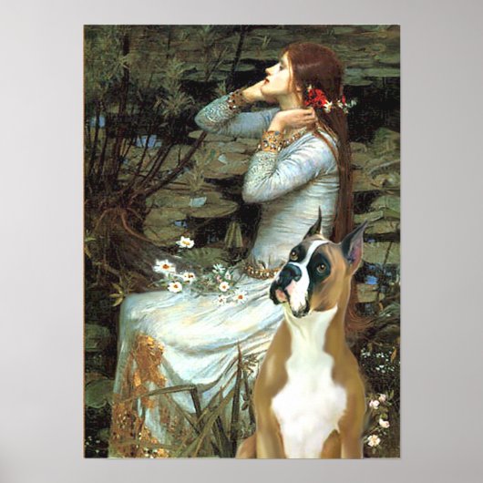 Boxer 1 (gehaakte oren) - Ophelia Poster (Voorkant)