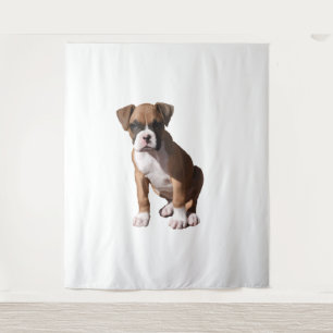 Boxer 1 wandkleed