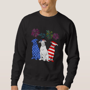 Boxer 4 juli Amerikaanse vlag A Trui