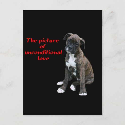 Boxer: Afbeelding van onvoorwaardelijke liefde Briefkaart (Voorkant)