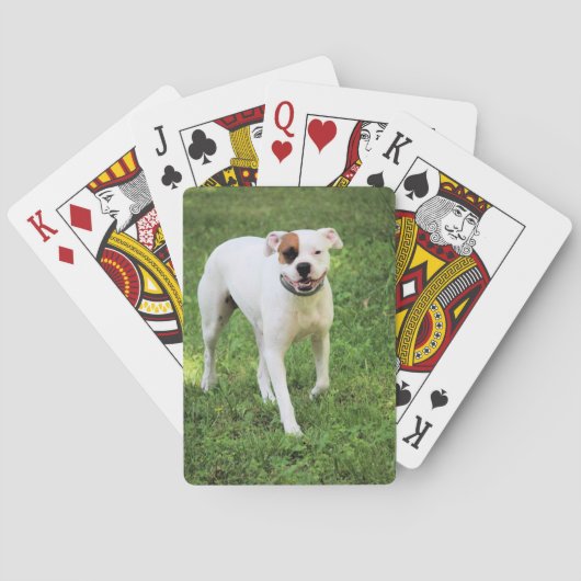 Boxer-afspeelkaarten Pokerkaarten (Achterkant)