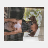 Boxer Baby Fleece Deken (Voorkant (Horizontaal))