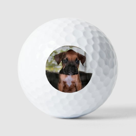 Boxer Baby Golfballen (Voorkant)