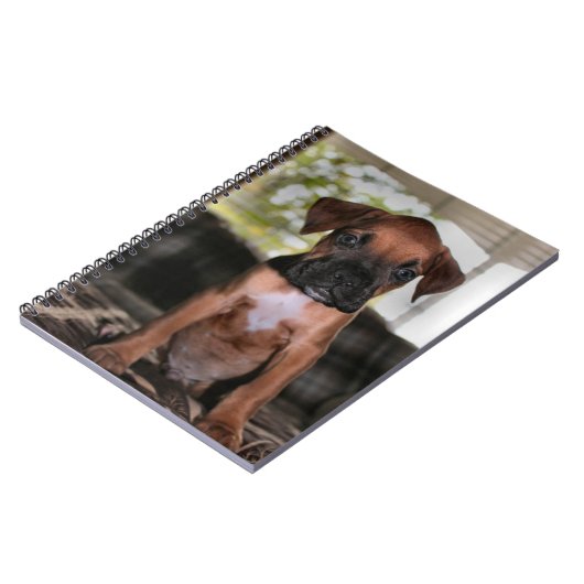 Boxer baby notitieboek (Linkerzijde)