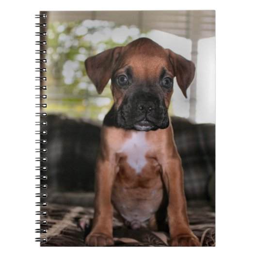 Boxer baby notitieboek (Voorkant)