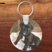 Boxer Baby. Sleutelhanger (Voorkant)