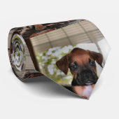 Boxer Baby Stropdas (Opgerold)