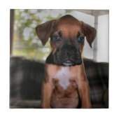 Boxer baby tegeltje (Voorkant)