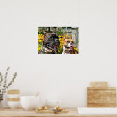 Boxer Baxter Bella 8 Poster (Keuken)