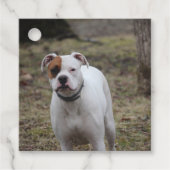 Boxer Bedankjes Labels (Voorkant)