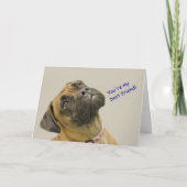 Boxer Birthday Card Kaart (Voorkant)