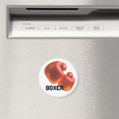 Boxer Bokshandschoenen Magneet (Insitu (Vaatwasser))