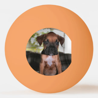 Boxer Bqby Pingpongbal