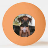 Boxer Bqby Pingpongbal (Achterkant)