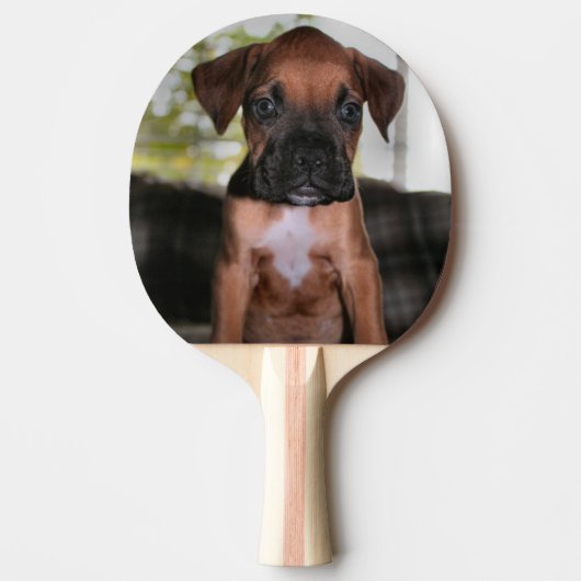Boxer Bqby Tafeltennisbatje (Voorkant)