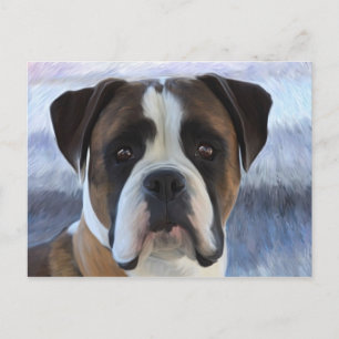 Boxer Briefkaart