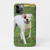 Boxer Case-Mate iPhone Case (Achterkant)