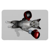 Boxer Cat Magneet (Horizontaal)