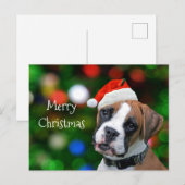 Boxer Christmas Feestdagenkaart (Voorkant / Achterkant)