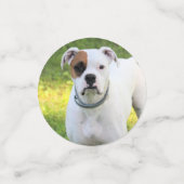 Boxer Confetti (Kleine voorkant)