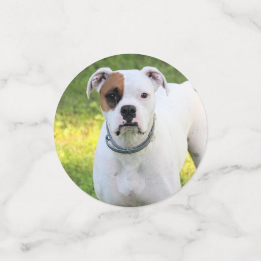 Boxer Confetti (Kleine voorkant)