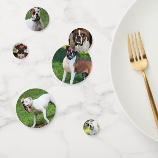 Boxer Confetti (Groep)