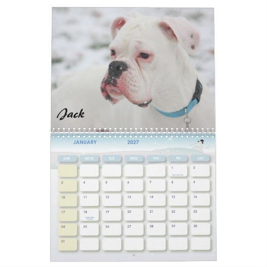 Boxer Crazy Calendar 2010 Kalender (Jan 2027)