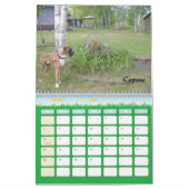 Boxer Crazy Calendar 2010 Kalender (Mar 2027)